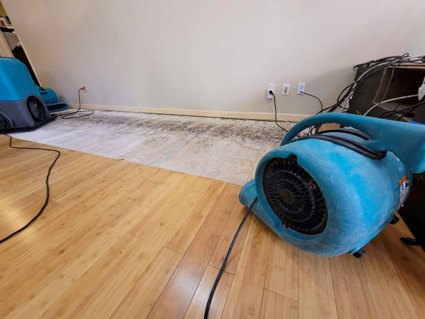 Professional Ceiling Water Damage Repair technician working in Magna, UT
